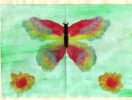 Вероника-10-Бабочка красавица